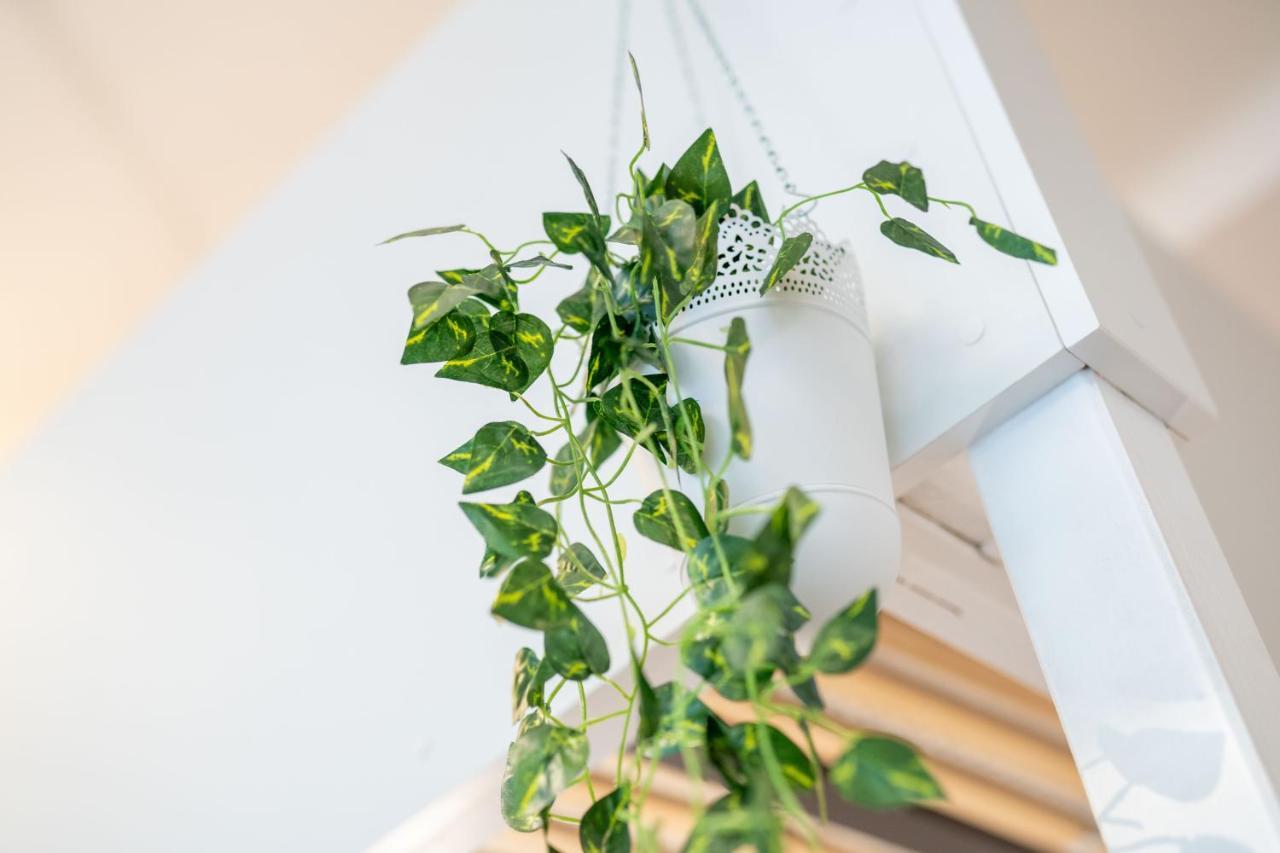 Cozy Modern Nest In The Heart Of With Netflix Appartamento *